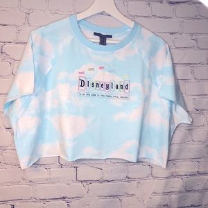 Disneyland Inspired Crop Top